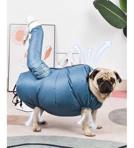 Reforço Constante: Celebre Cada Pequena Vitória - inspiração 2