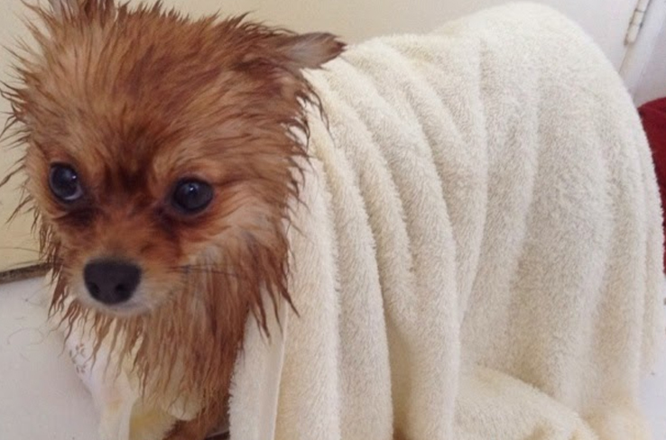 O Uso de Ruído Branco: Uma Ferramenta Surpreendente - inspiração 2