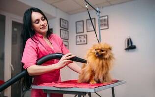 Distância Inicial: Secador em Outro Cômodo, Portas Fechadas - inspiração 2