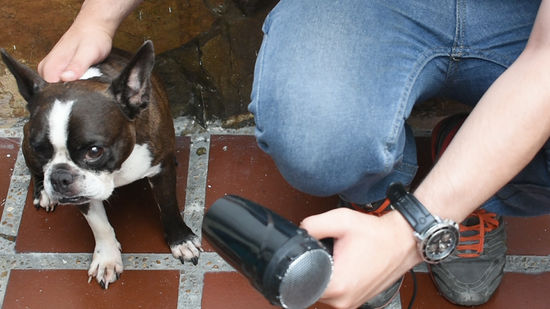 Aumentando o Tempo de Exposição Controlada - inspiração 1