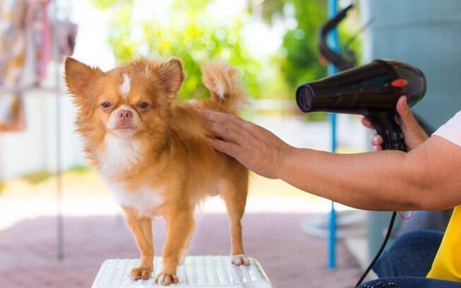 Breves Aplicações no Corpo: Superfícies Menos Sensíveis Primeiro - inspiração 2