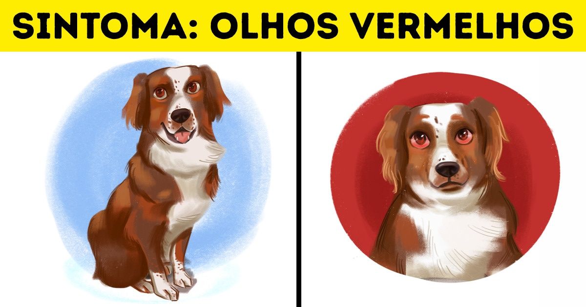 Diferenciando a Secura Temporal da Doença - inspiração 1