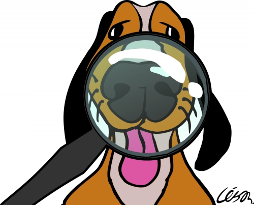 Outros Sintomas Associados à Febre em Cachorros - inspiração 1