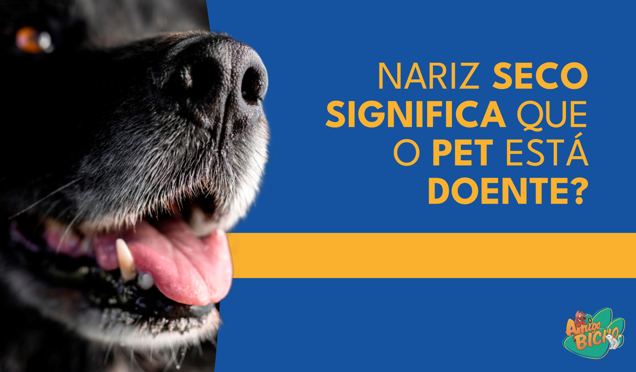 Como Medir a Temperatura do Seu Cachorro Corretamente - inspiração 2