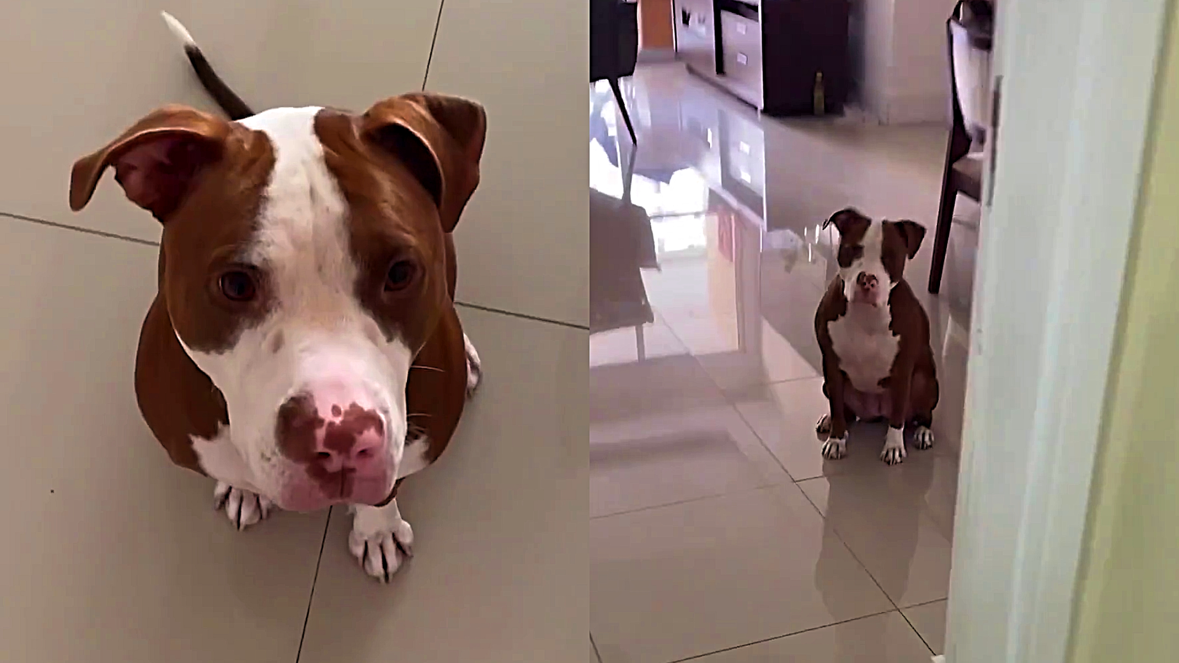 Primeiros Passos: Introduzindo o Conceito de Fechar - inspiração 1