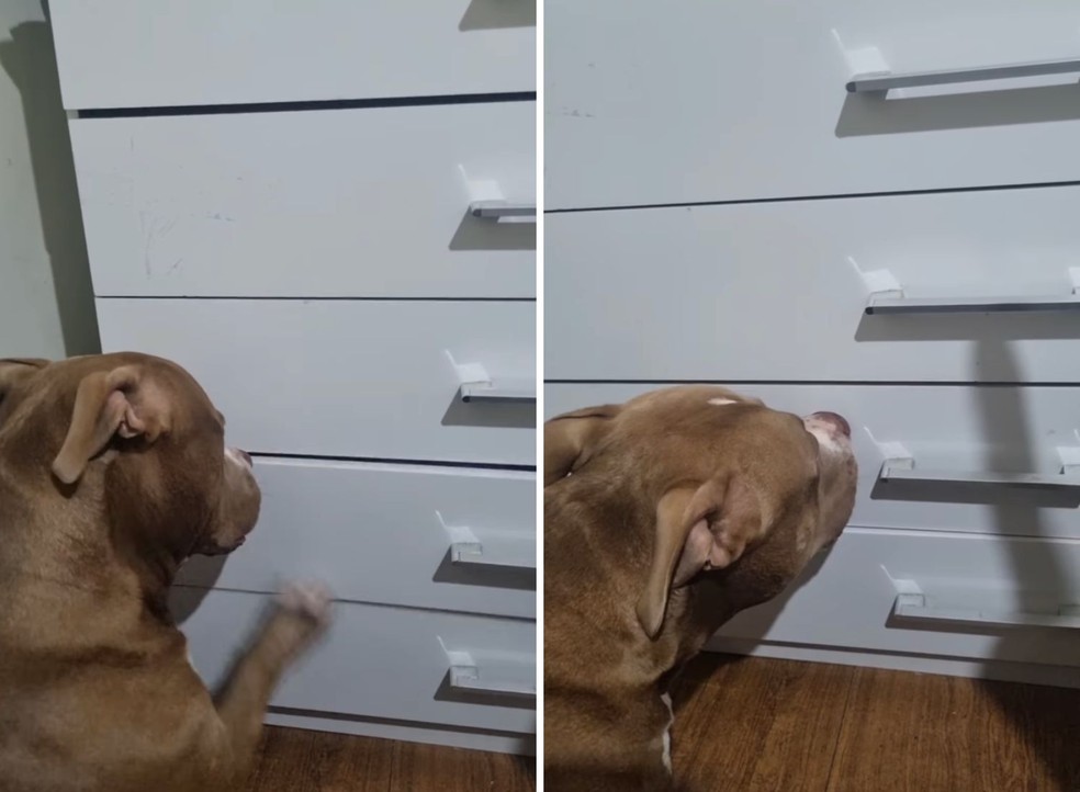 Primeiros Passos: Introduzindo o Conceito de Fechar - inspiração 2