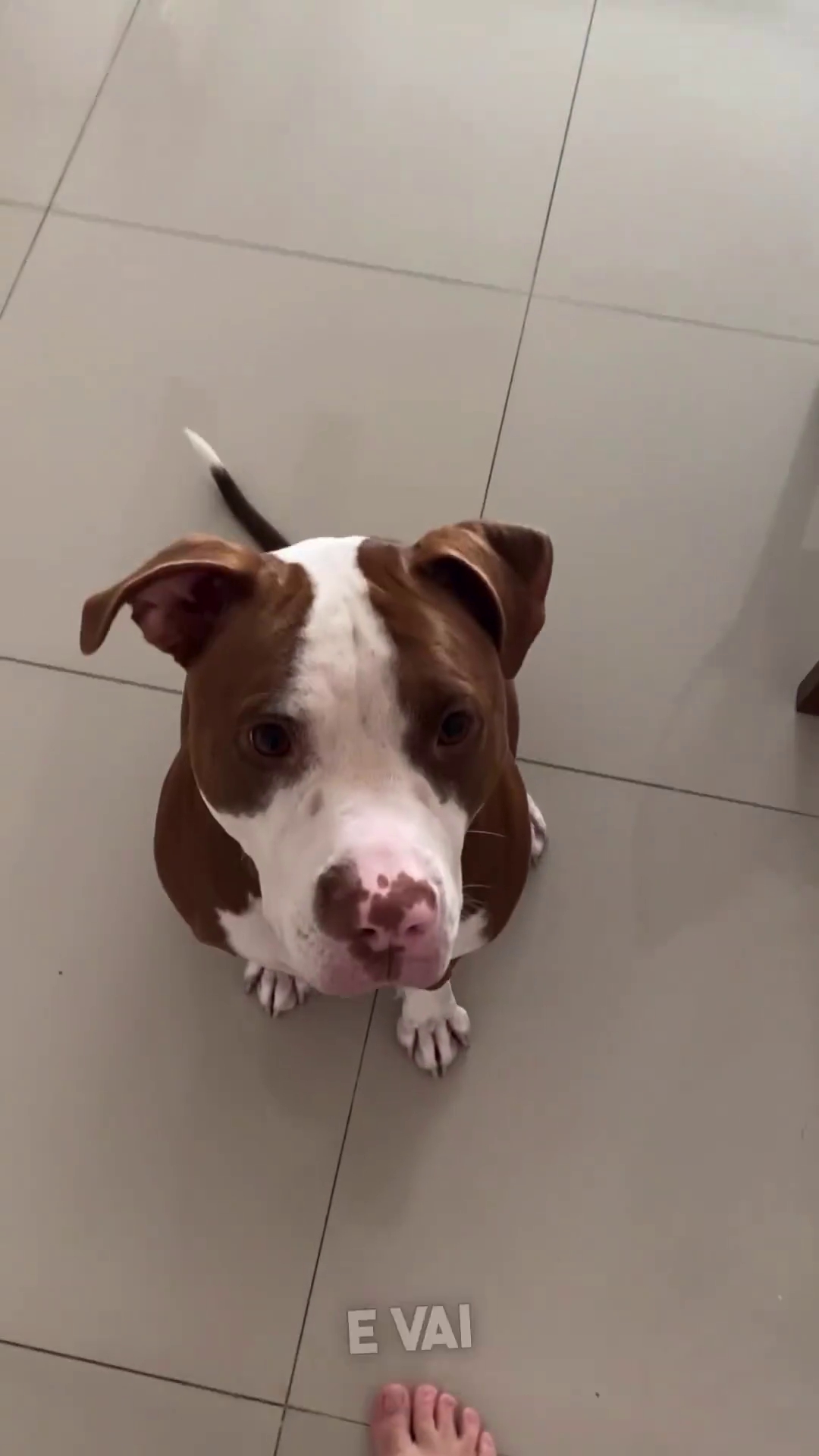 Manutenção do Hábito: Reforço Positivo Contínuo - inspiração 2