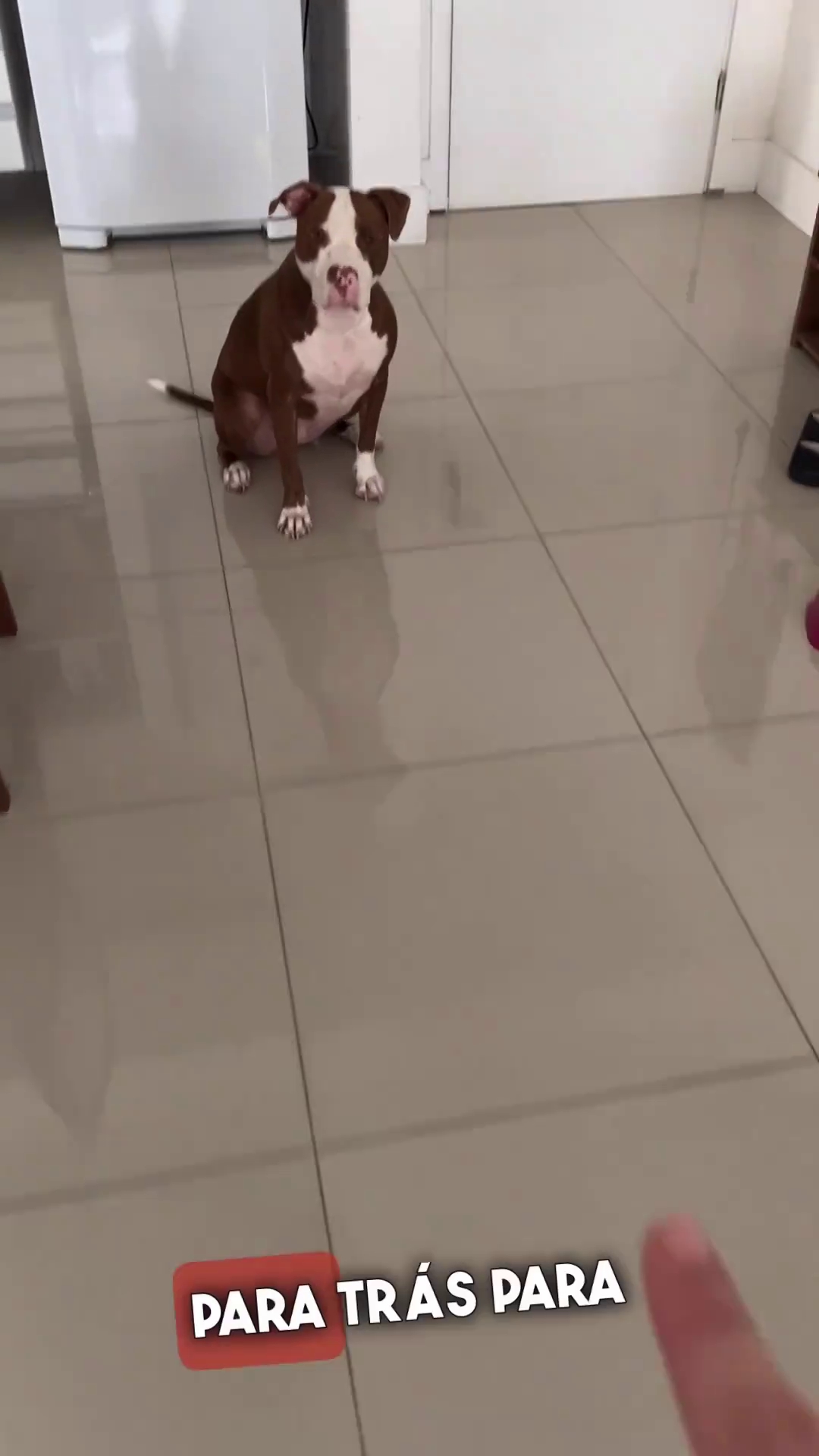 Tornando o Ato Recompensador: O Poder dos Petiscos - inspiração 2