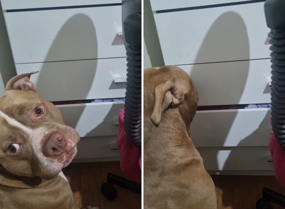 O 'Truque' para Iniciar o Comportamento - inspiração 1