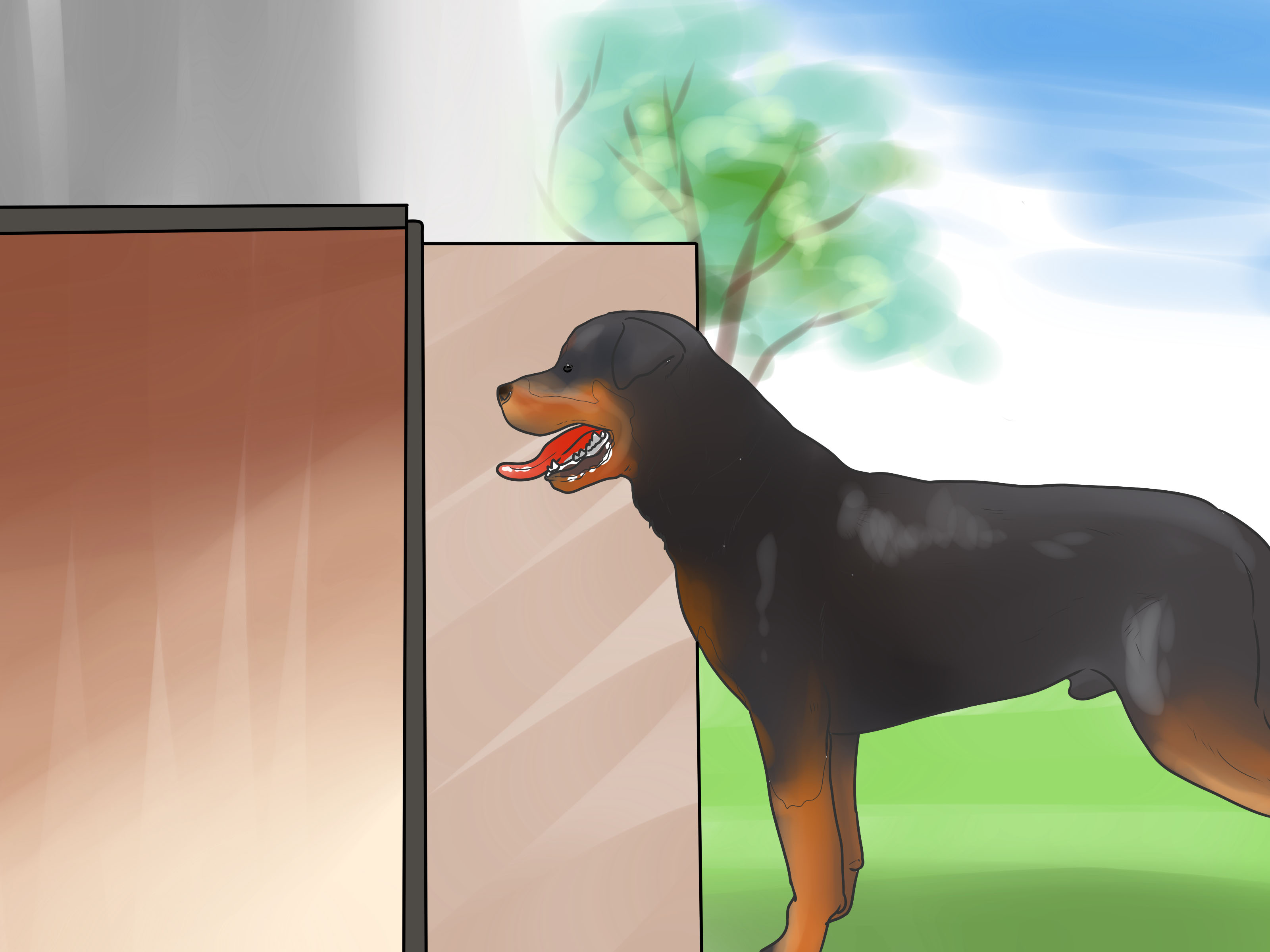 Sinais Claros: Comunicação entre Você e Seu Cão - inspiração 1