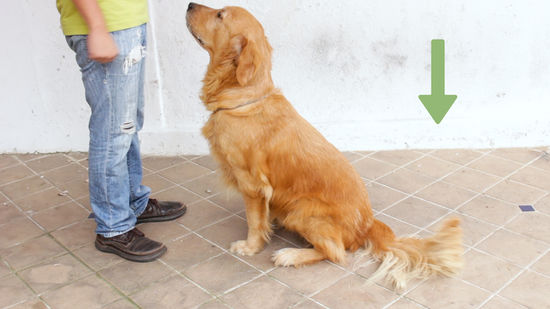 Consistência é Chave: Rotina e Repetição Diária - inspiração 1