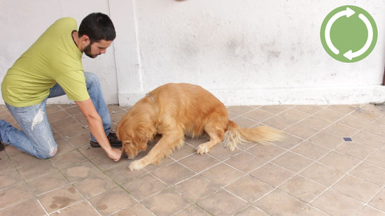 Evitando Armadilhas Comuns no Treinamento - inspiração 2