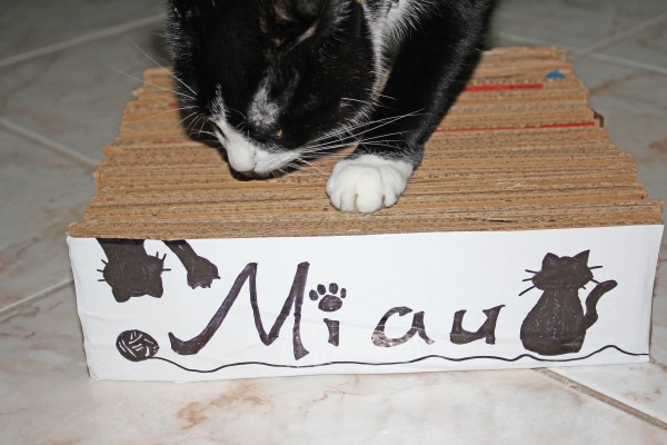 Arranhador com Múltiplas Camadas: Desafio Divertido - inspiração 2