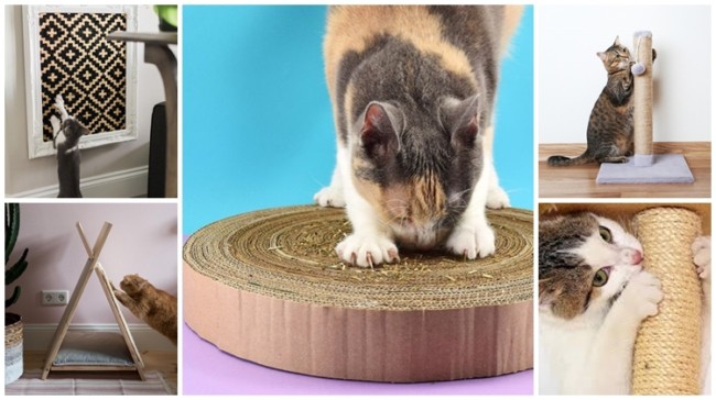 Arranhador com Caixas de Ovos: Textura Surpreendente - inspiração 2