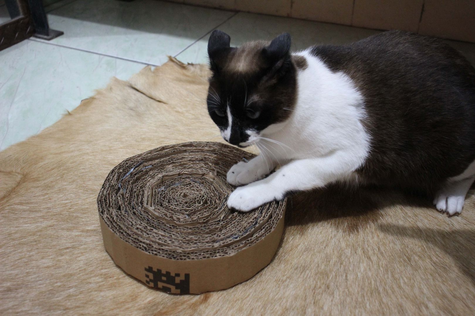 Arranhador Personalizado com Catnip: Impossível Resistir - inspiração 2