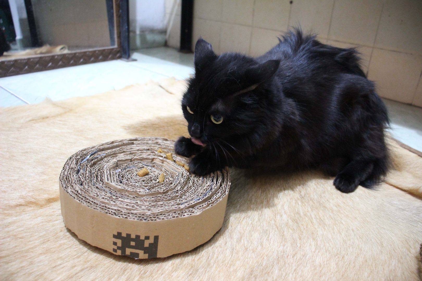 Arranhador Reforçado com Sisal: Durabilidade Extra - inspiração 3