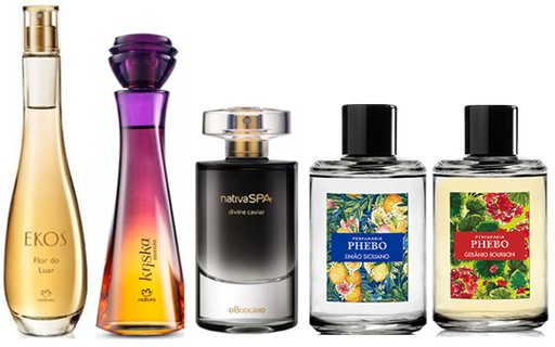 A Importância de Conhecer a Família Olfativa do Seu Perfume Ideal - inspiração 2
