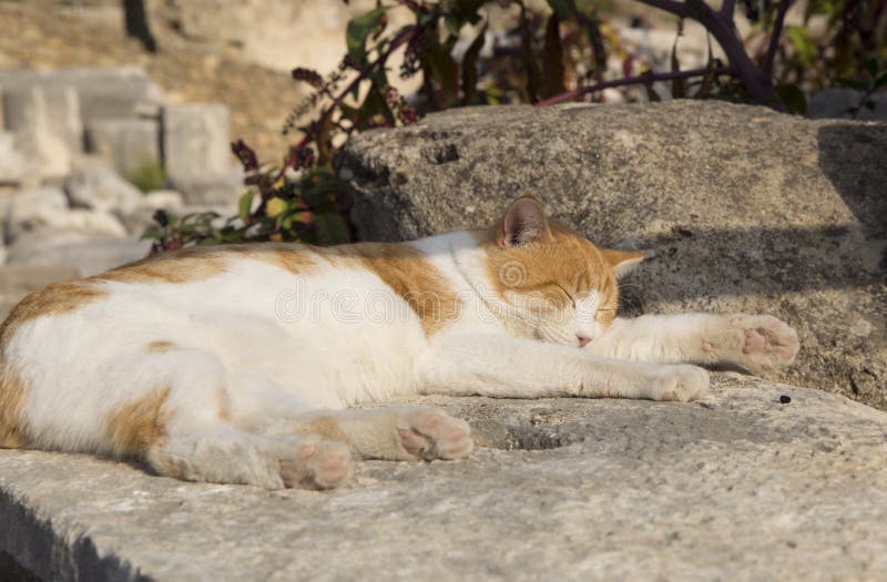 Conforto e Segurança: O Sol Como Um Abraço Quentinho - inspiração 2
