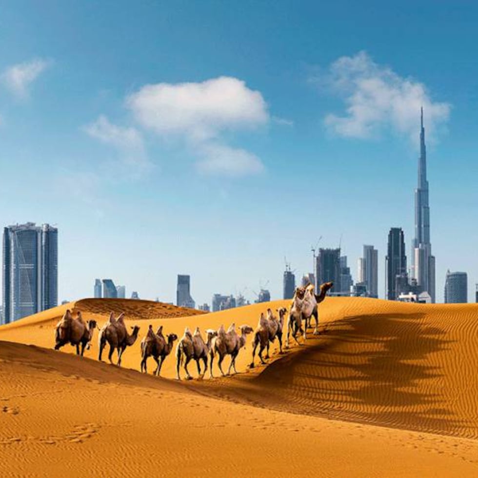 Dia 1: Chegada Triunfal e Charme Moderno - inspiração 1