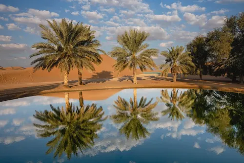 Sua Mala Perfeita: Essenciais para Calor e Clima Controlado - inspiração 2