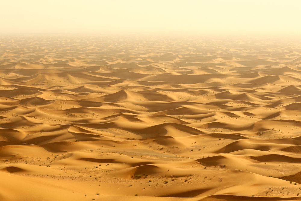 Transporte Inteligente: Deslocamentos Eficientes pela Cidade - inspiração 1