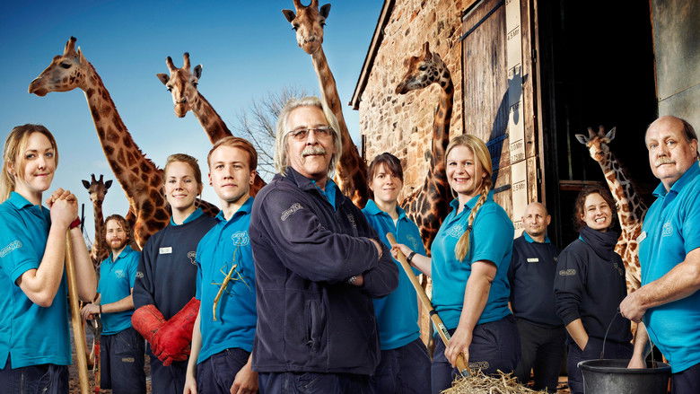 Comportamento animal: descobertas sobre suas rotinas - inspiração 1