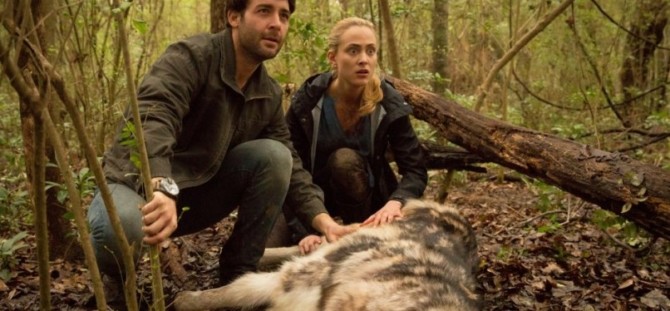 Relacionamento humano-animal: laços que impressionam - inspiração 1