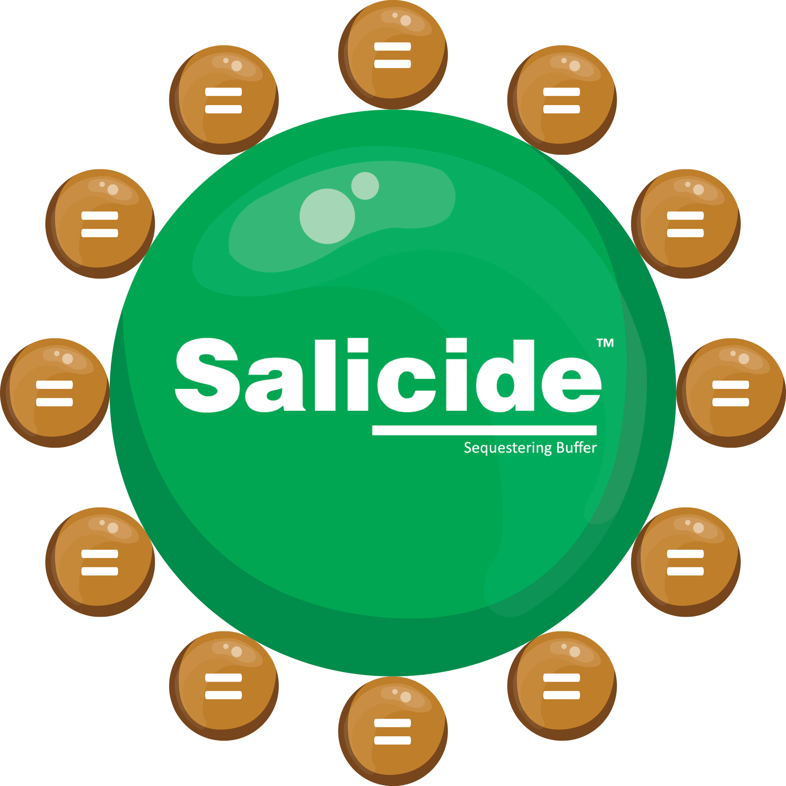 O Papel da Amostragem e Degustação no Incentivo à Compra - inspiração 1