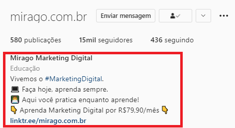 Link na Bio: Ferramenta Essencial de Conversão - inspiração 1