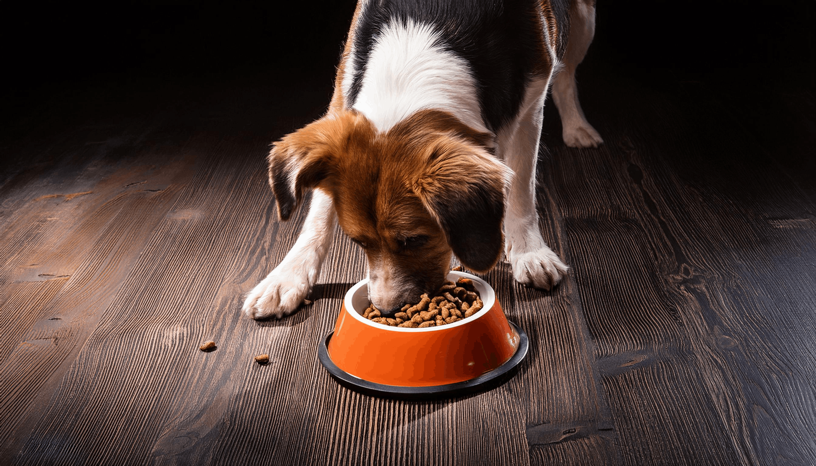 Seja paciente e persistente: a mudança de comportamento leva tempo. - inspiração 1