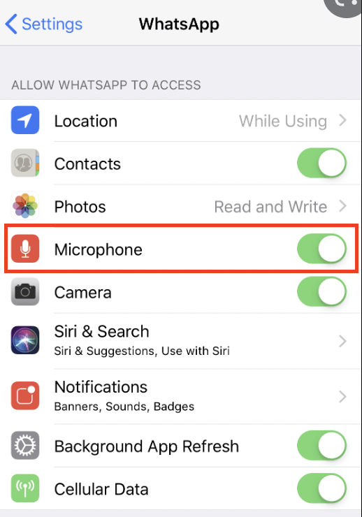 Considere Conflitos com Outros Aplicativos que Usam o Microfone - inspiração 1