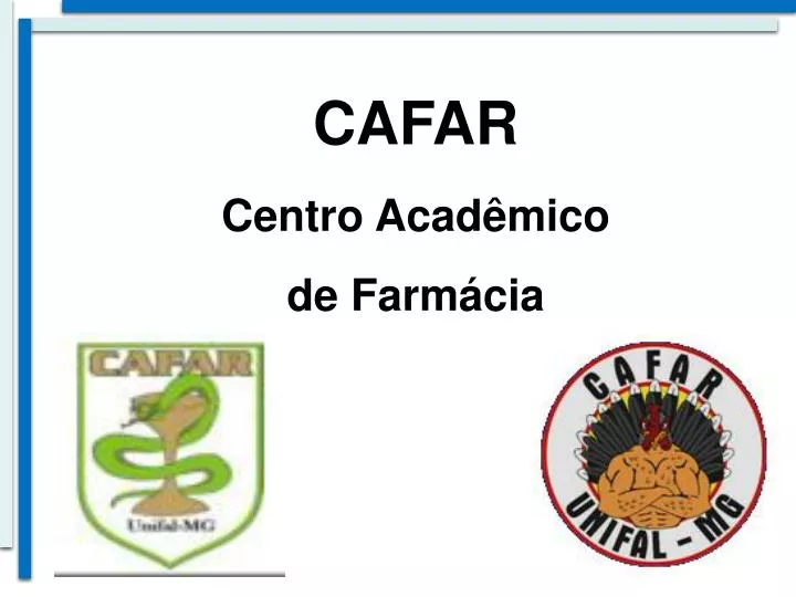 Conexão com o Mercado de Trabalho: Primeiros Passos Profissionais - inspiração 1