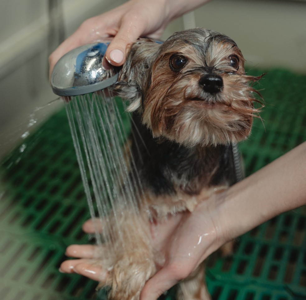 O Momento da Cabeça: Atenção aos Olhos e Ouvidos - inspiração 2