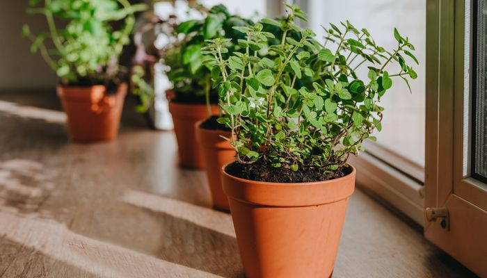 Descubra os Materiais que Cabem no Seu Orçamento - inspiração 1