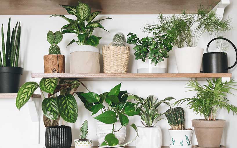 Descubra os Materiais que Cabem no Seu Orçamento - inspiração 2