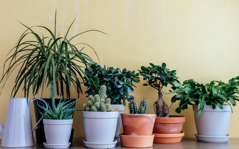 Aproveite Promoções e Descontos Estratégicos - inspiração 1