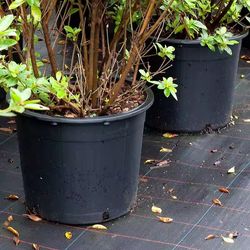 Faça Você Mesma: Vasos Criativos e Econômicos - inspiração 1