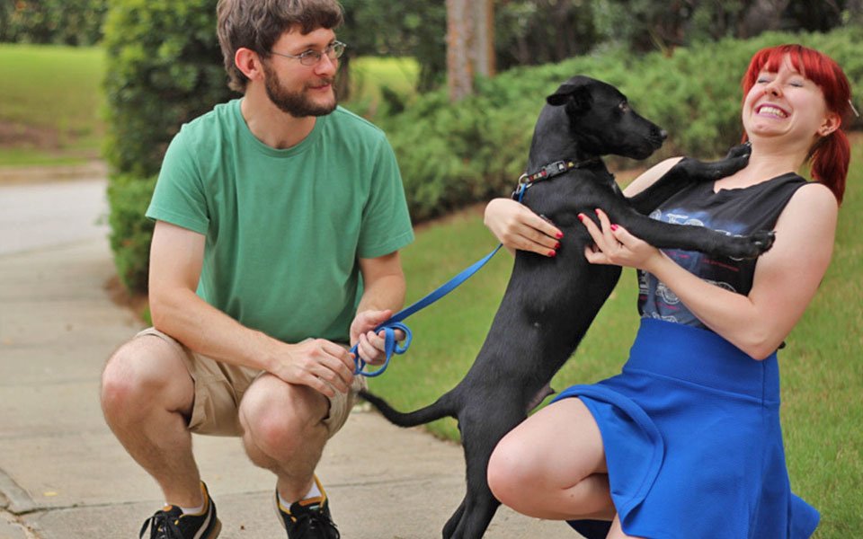 O que NÃO fazer: erros comuns que atrapalham o aprendizado - inspiração 1