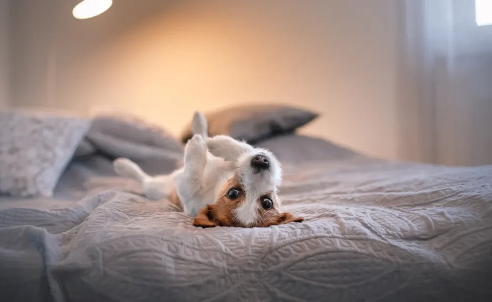 O momento da chegada: como gerenciar a empolgação inicial - inspiração 2