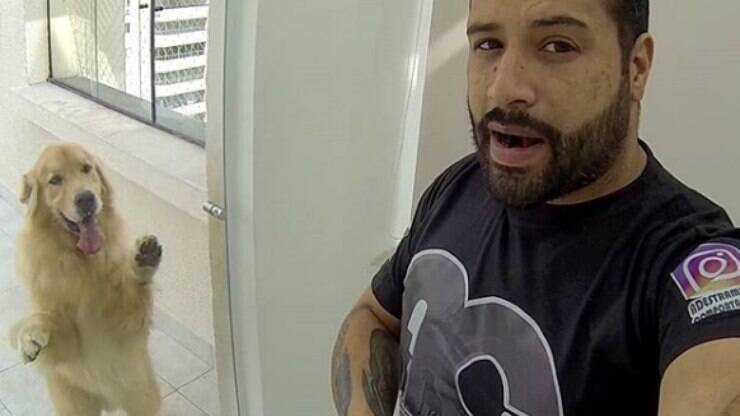 Associação positiva: o segredo para um cão tranquilo - inspiração 1