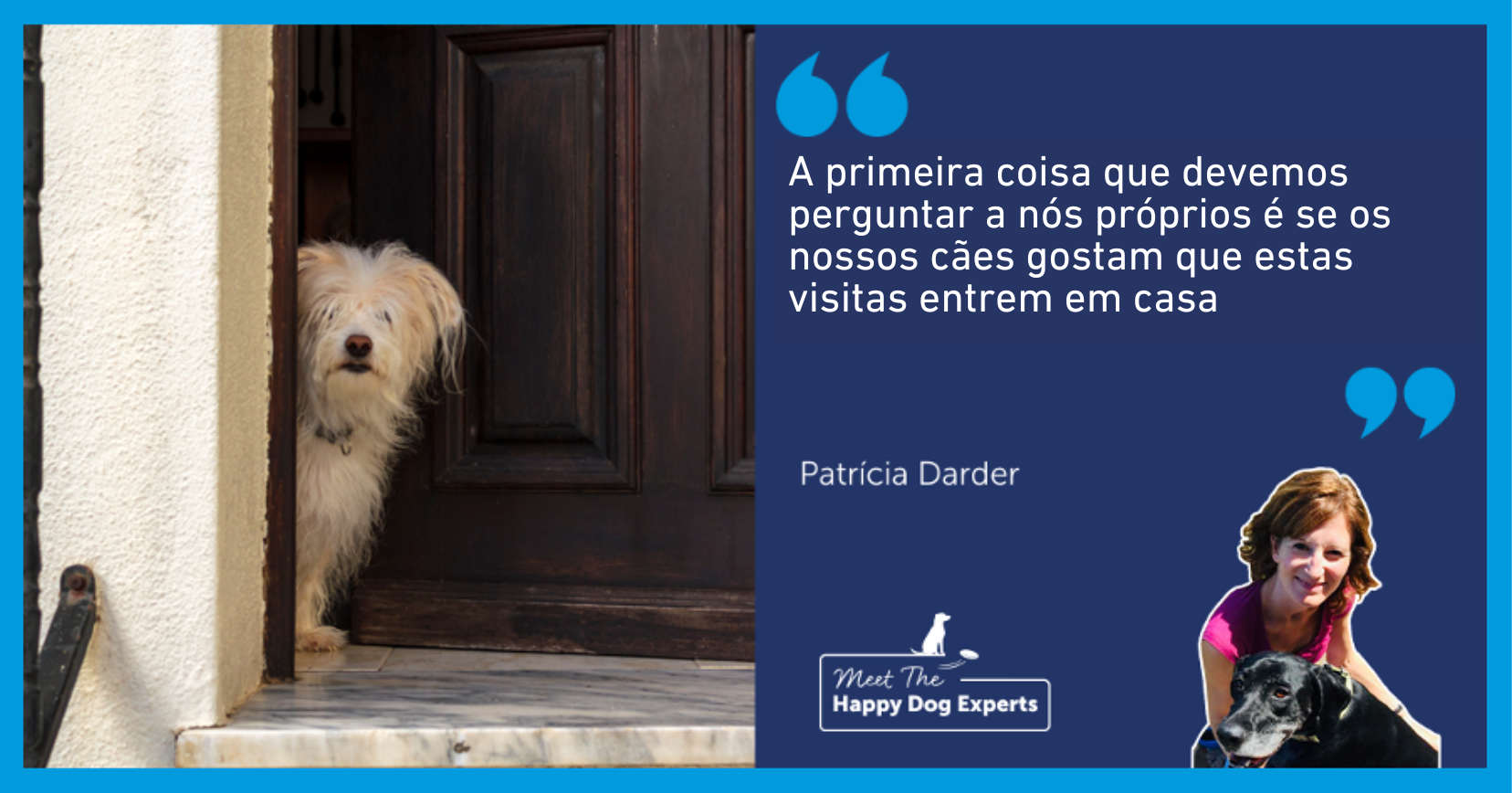 Associação positiva: o segredo para um cão tranquilo - inspiração 2