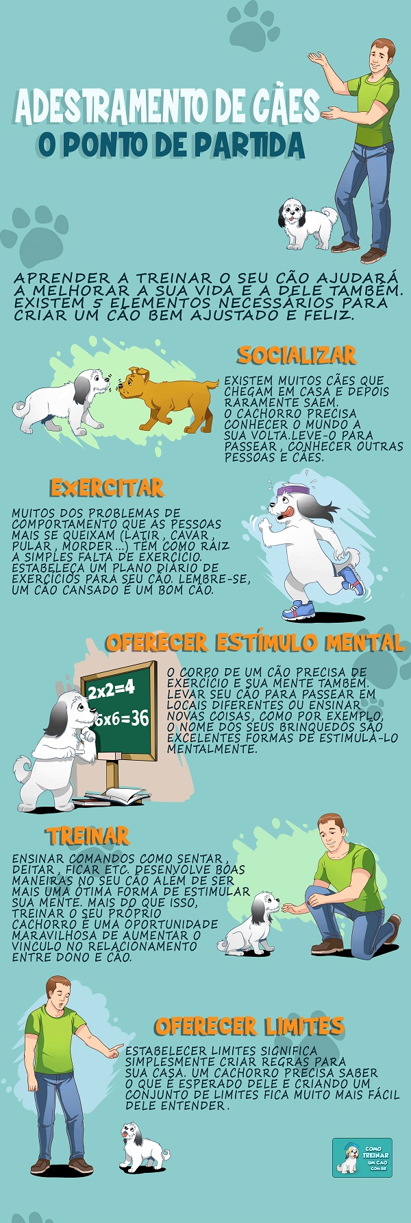 Linguagem corporal: o que observar no seu cão e na visita - inspiração 2