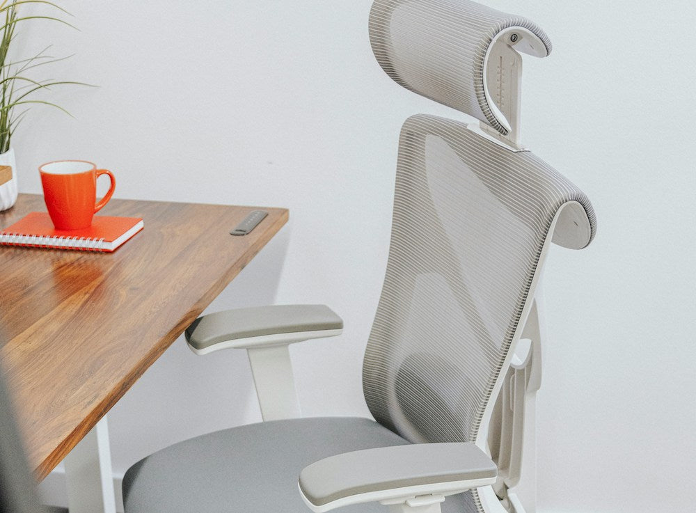 Suporte lombar: o segredo para um dia produtivo - inspiração 2