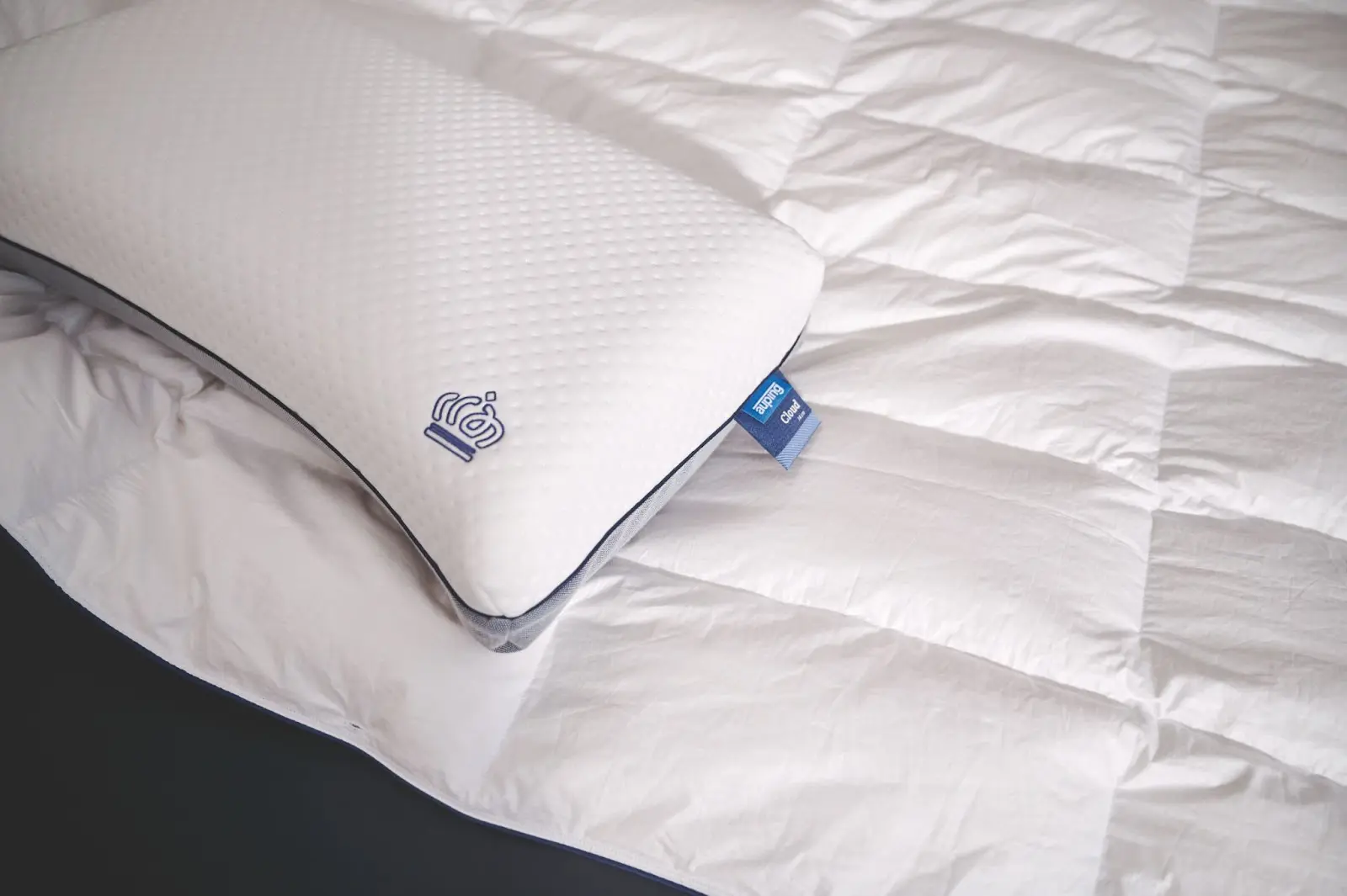 Hipoalergênicos: Cuidados Extras Para Sua Saúde - inspiração 1