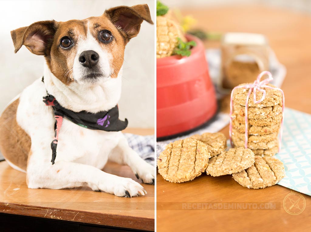 Variações e Cuidados Essenciais com o Queijo - inspiração 1