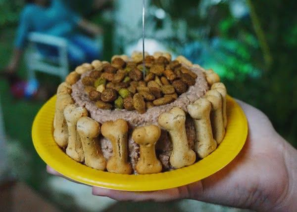 Temperos Naturais: Ervas Frescas que São Seguras e Aromáticas - inspiração 1