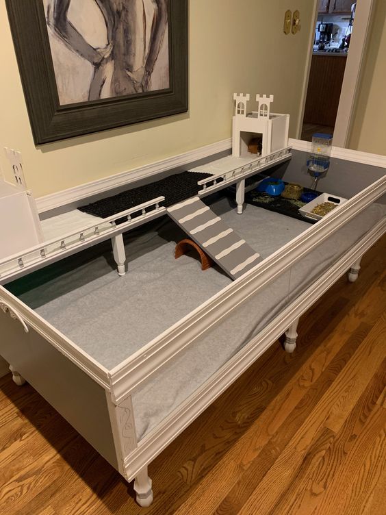 Escolhendo o Local Ideal: Onde Seu Bichinho Vai Se Sentir Mais Seguro - inspiração 2