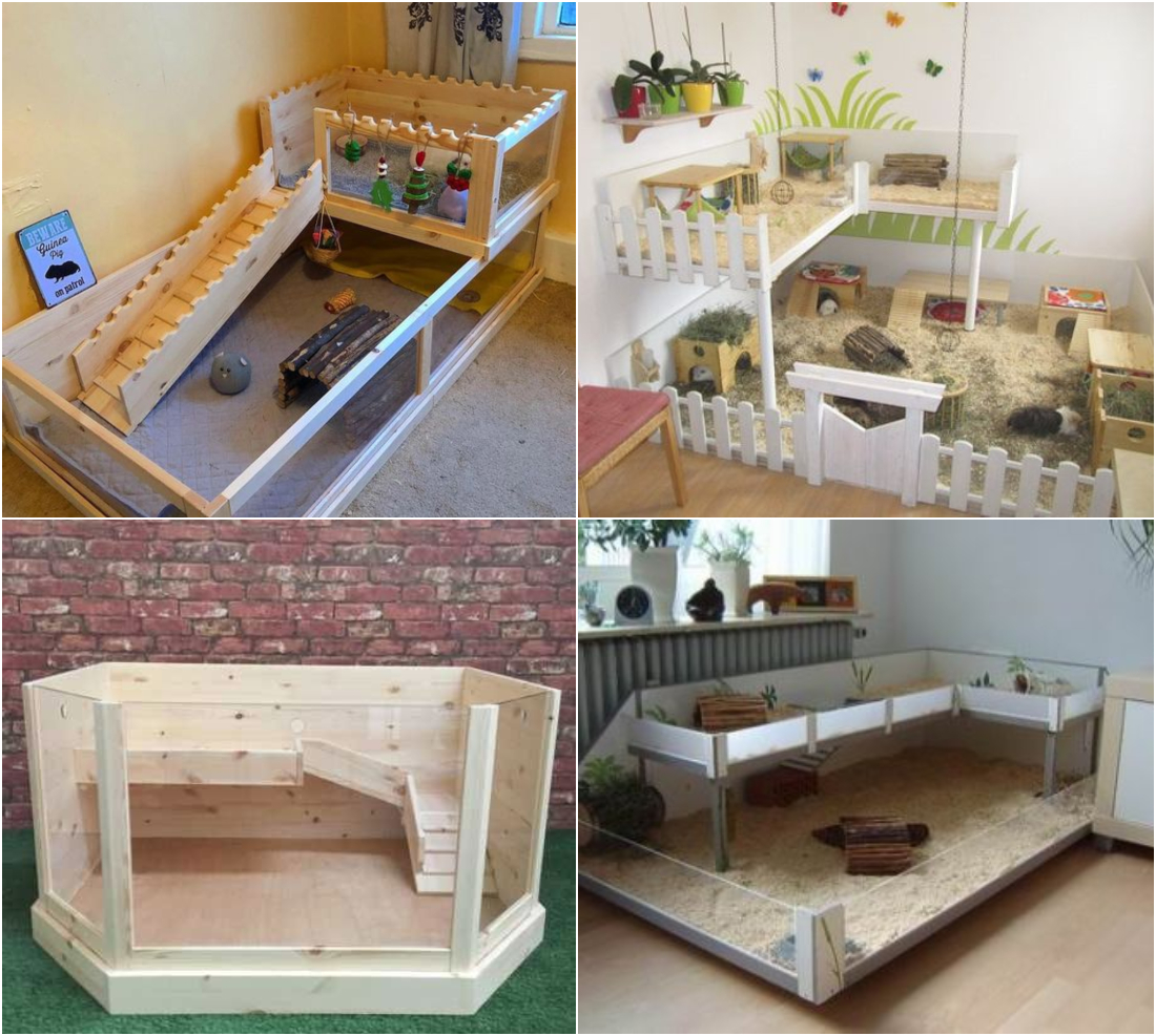 Manutenção e Limpeza: Garantindo a Higiene do Habitat - inspiração 1