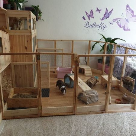 Materiais Sustentáveis e Seguros: O Que Você Realmente Precisa - inspiração 2