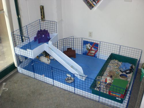 Dimensionando o Espaço: Tamanho Certo para Diversão e Bem-Estar - inspiração 1